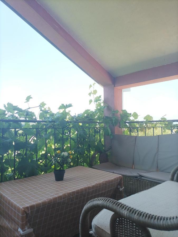 Apartman Balsa Kotor Exteriér fotografie